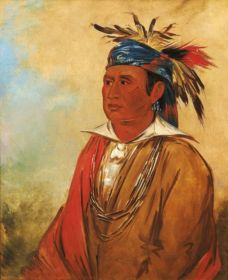 Wah-pón-jee-a, De zwaan, een krijger - George Catlin

Source:
Wah-pón-jee-a, Le Cygne, un Guerrier - George Catlin