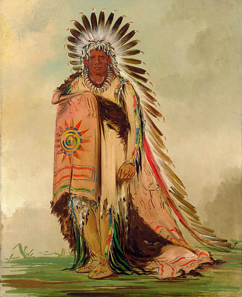 Wán-ee-ton, stamhoofd - George Catlin

Source:
Wán-ee-ton, chef de la tribu - George Catlin