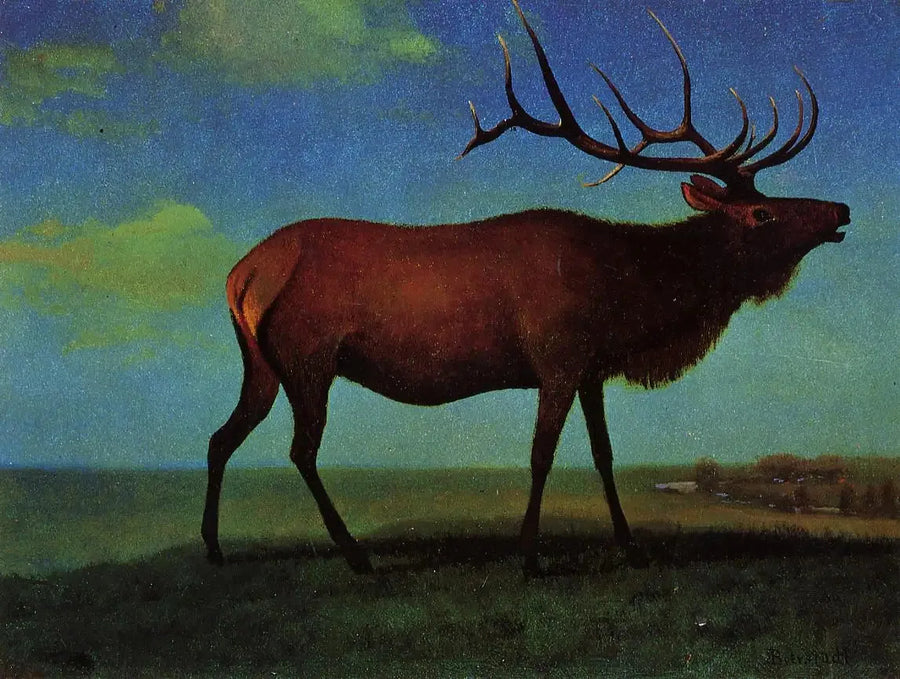 Mannelijke wapiti - Albert Bierstadt

Source:
Wapiti mâle - Albert Bierstadt