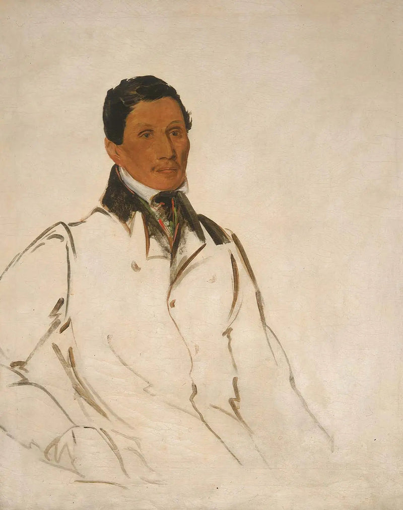 Waun-naw-con, Het Gerecht (John W. Quinney), een missionair predikant - George Catlin

Source:
Waun-naw-con, The Dish (John W. Quinney), un prédicateur missionnaire - George Catlin