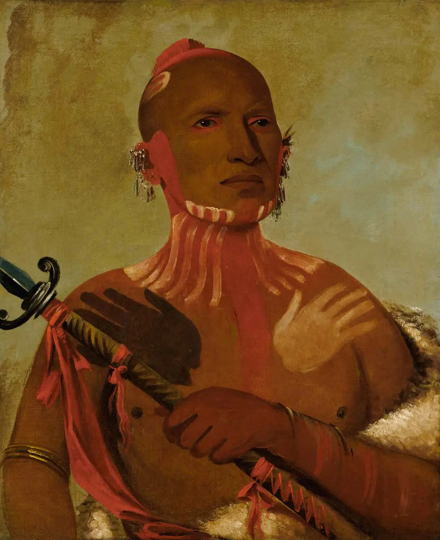 Wée-blad, steurkop, een vos krijger - George Catlin

Source:
Wée-sheet, tête d'esturgeon, un guerrier renard - George Catlin