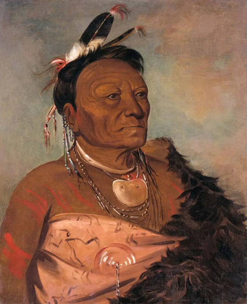 Wee-tá-ra-shá-ro, stamhoofd - George Catlin

Source:
Wee-tá-ra-shá-ro, chef de la tribu - George Catlin