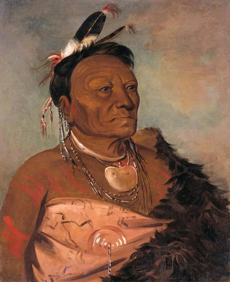 Wee-tá-ra-shá-ro, stamhoofd - George Catlin

Source:
Wee-tá-ra-shá-ro, chef de la tribu - George Catlin