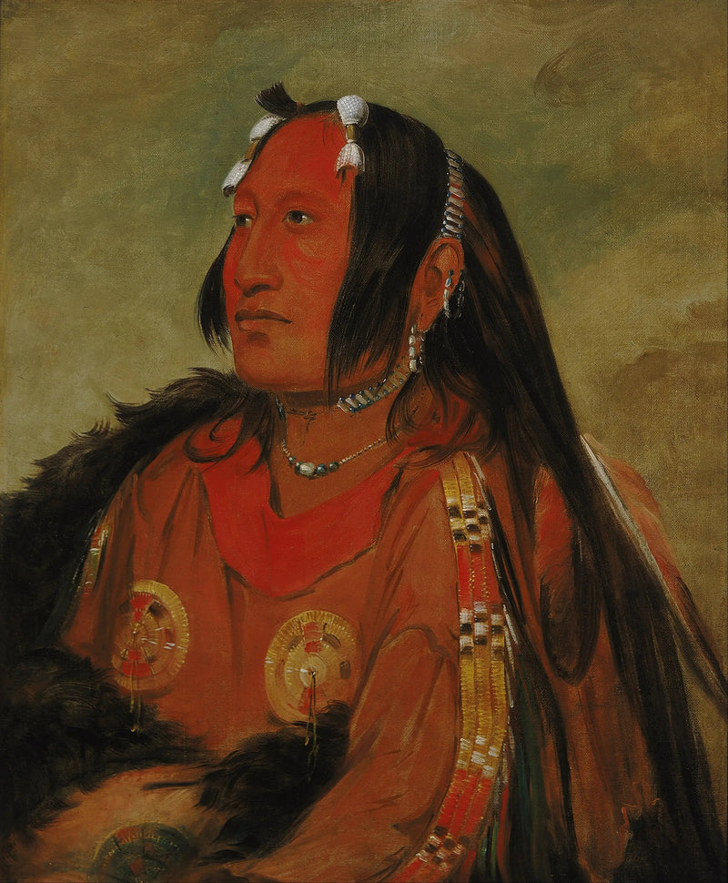Wi-jún-jon, Pigeonhoofd (De Lichtstraal), een jonge heldere krijger - George Catlin

Source:
Wi-jún-jon, Tête d'œuf de pigeon (La Lumière), un jeune guerrier distingué - George Catlin