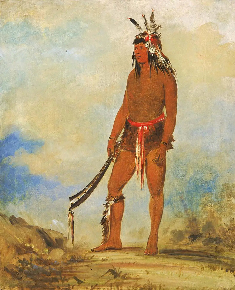 Won-de-tów-a, het wonder - George Catlin

Source:
Won-de-tów-a, la merveille - George Catlin