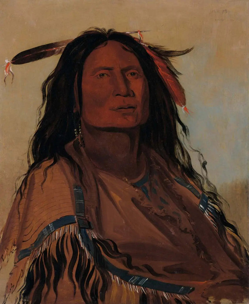 Wúk-mi-ser, maïs, een Miniconjou-oorlogvoerder - George Catlin

Source:
Wúk-mi-ser, Corn, un guerrier Miniconjou - George Catlin