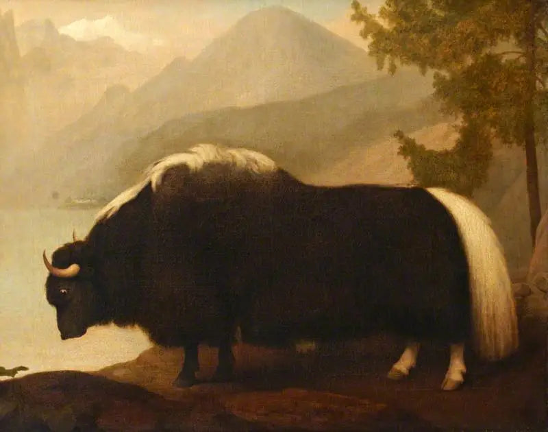 Yak - George Stubbs

Source:
Yak - George Stubbs