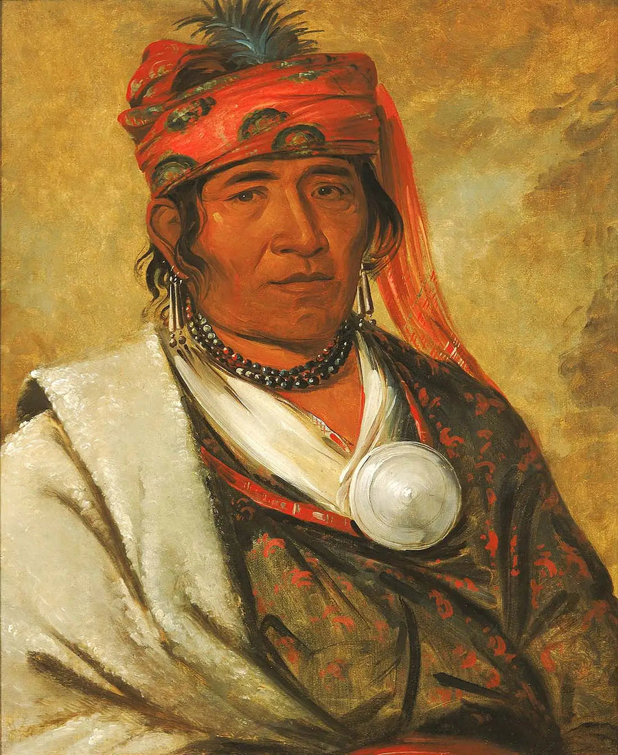 Ye-hów-lo-gee, De Wolk, een Chef - George Catlin

Source:
Ye-hów-lo-gee, Le Nuage, un Chef - George Catlin