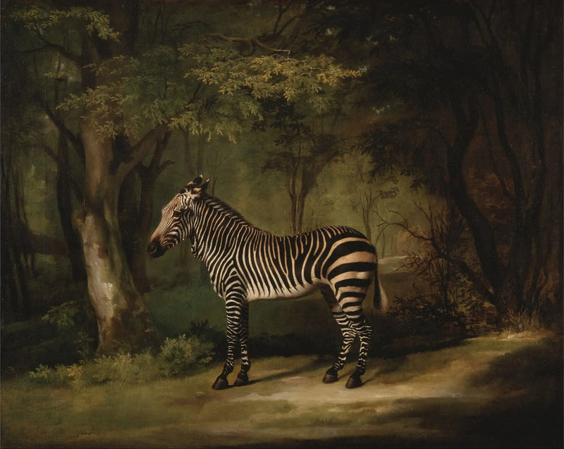 Zebra - George Stubbs

Source:
Zèbre - George Stubbs